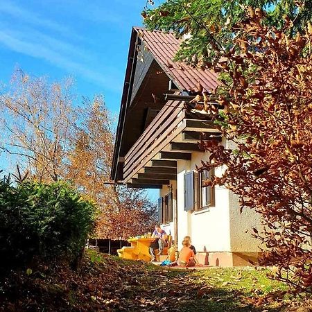 Pet & Family Friendly House Viktorija - House Near Golica With Triglav View Villa Jesenice Exterior foto