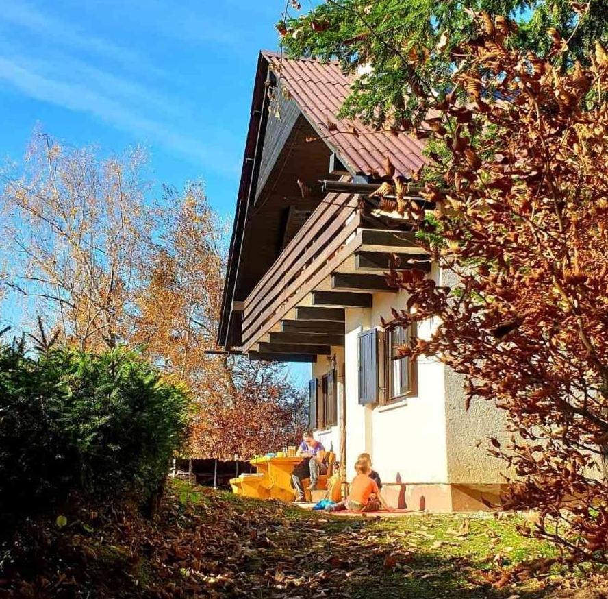 Pet & Family Friendly House Viktorija - House Near Golica With Triglav View Villa Jesenice Exterior foto