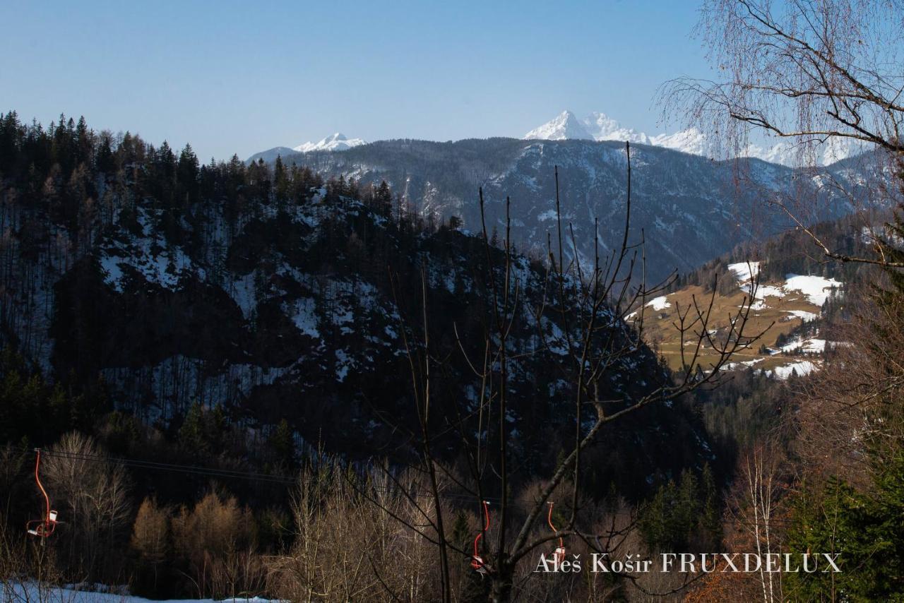 Pet & Family Friendly House Viktorija - House Near Golica With Triglav View Villa Jesenice Exterior foto