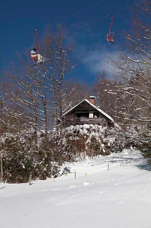Pet & Family Friendly House Viktorija - House Near Golica With Triglav View Villa Jesenice Exterior foto