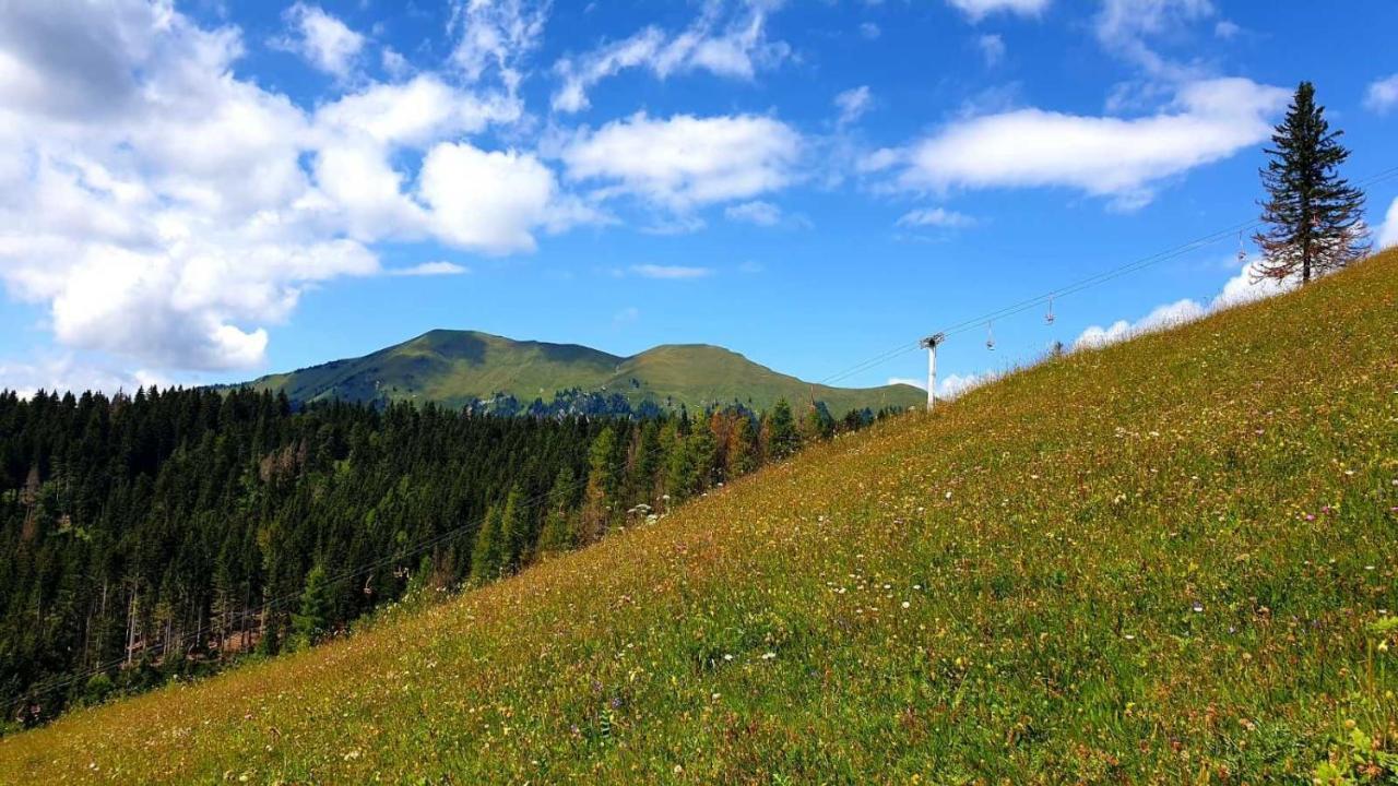 Pet & Family Friendly House Viktorija - House Near Golica With Triglav View Villa Jesenice Exterior foto
