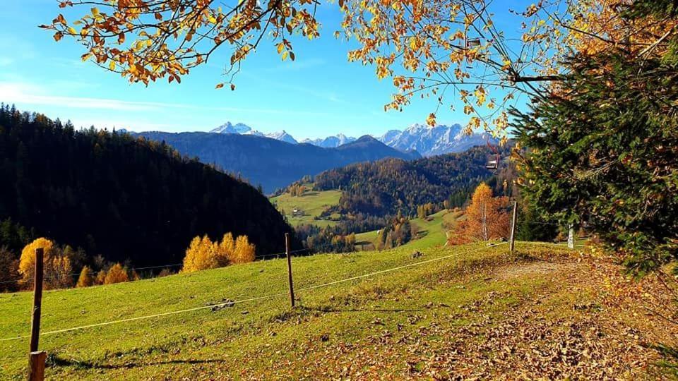 Pet & Family Friendly House Viktorija - House Near Golica With Triglav View Villa Jesenice Exterior foto