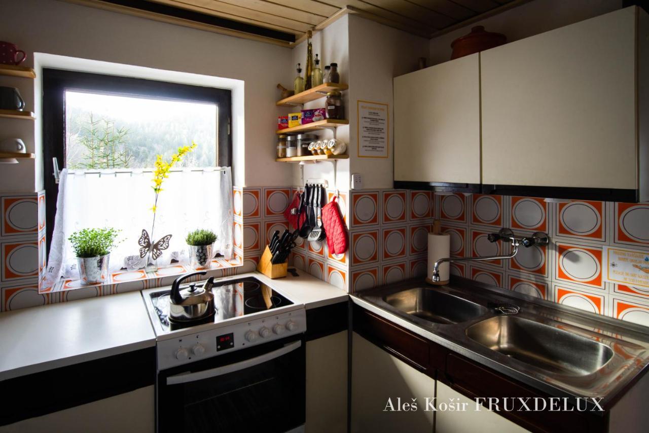 Pet & Family Friendly House Viktorija - House Near Golica With Triglav View Villa Jesenice Exterior foto
